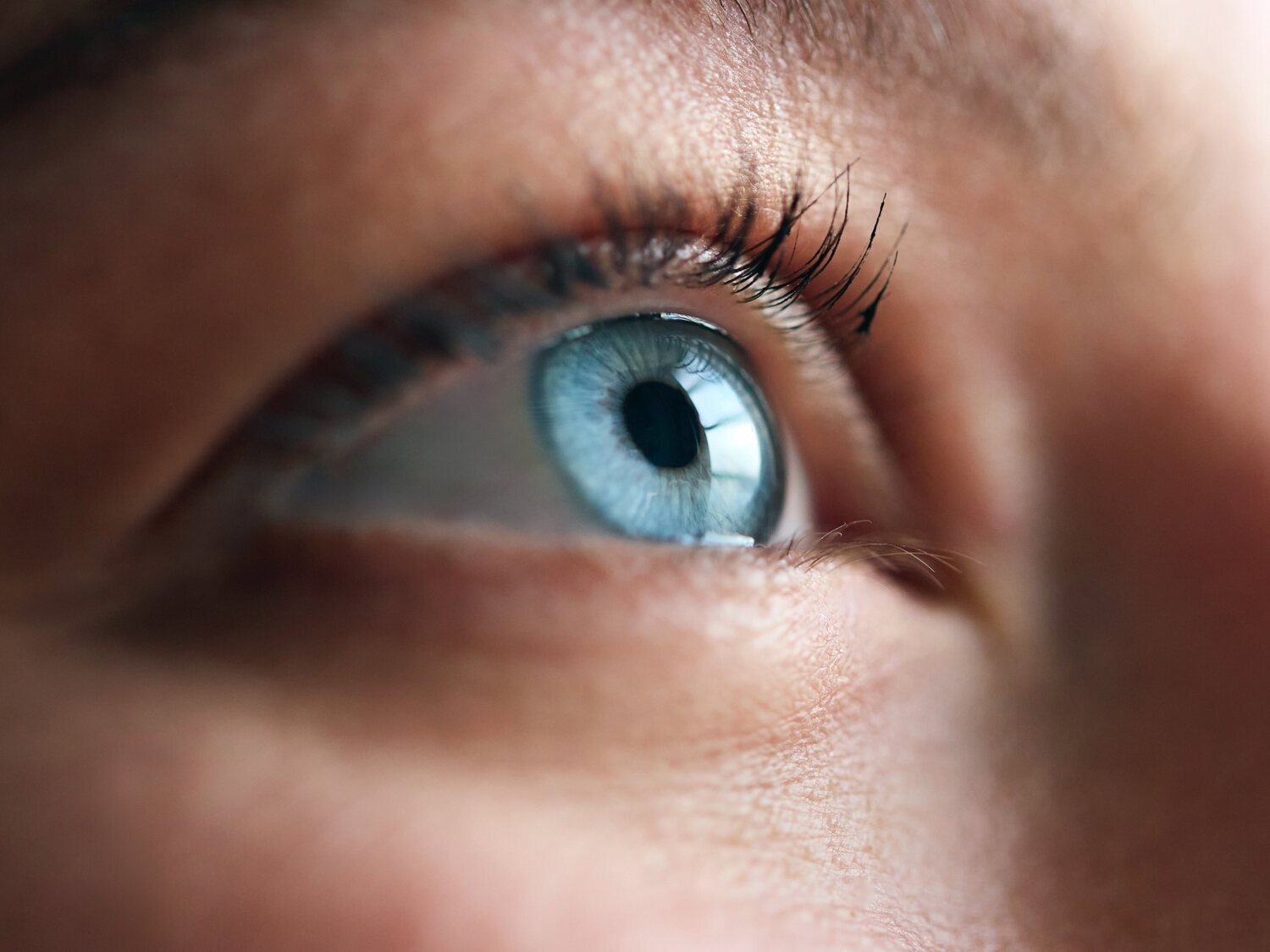 Qué dice el color de tus ojos sobre tu salud: posibles enfermedades