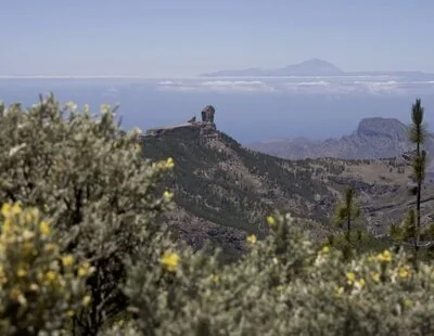 Un terremoto de magnitud 4,1 sacude Canarias: se siente en estas islas