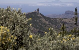 Un terremoto de magnitud 4,1 sacude Canarias: se siente en estas islas
