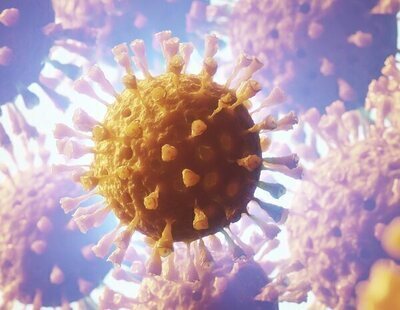 Cataluña alerta a la OMS de un brote de gripe porcina que se contagia entre humanos