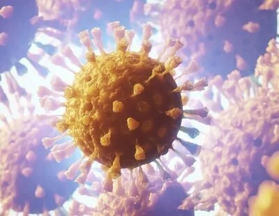 Cataluña alerta a la OMS de un brote de gripe porcina que se contagia entre humanos