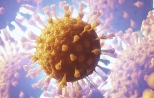 Cataluña alerta a la OMS de un brote de gripe porcina que se contagia entre humanos