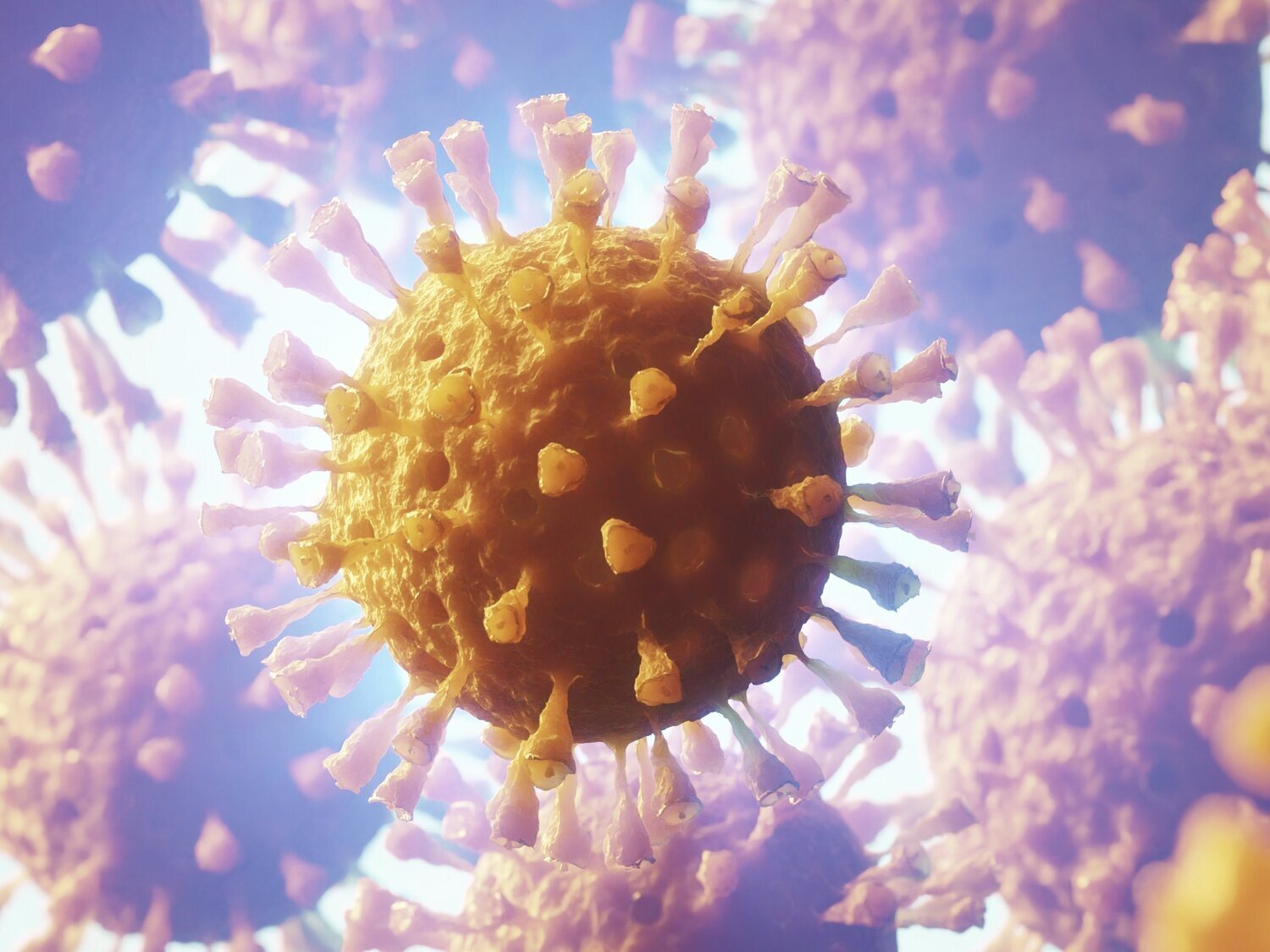 Cataluña alerta a la OMS de un brote de gripe porcina que se contagia entre humanos