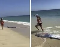 Qué es el pez del fin del mundo: el extraño animal marino que irrumpe en México