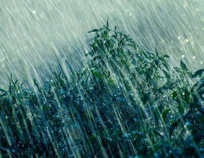 Alerta AEMET: la borrasca Samuel deja récord de frentes en el Mediterráneo