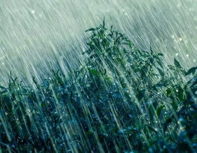 Alerta AEMET: la borrasca Samuel deja récord de frentes en el Mediterráneo