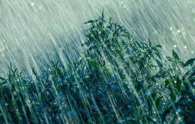 Alerta AEMET: la borrasca Samuel deja récord de frentes en el Mediterráneo