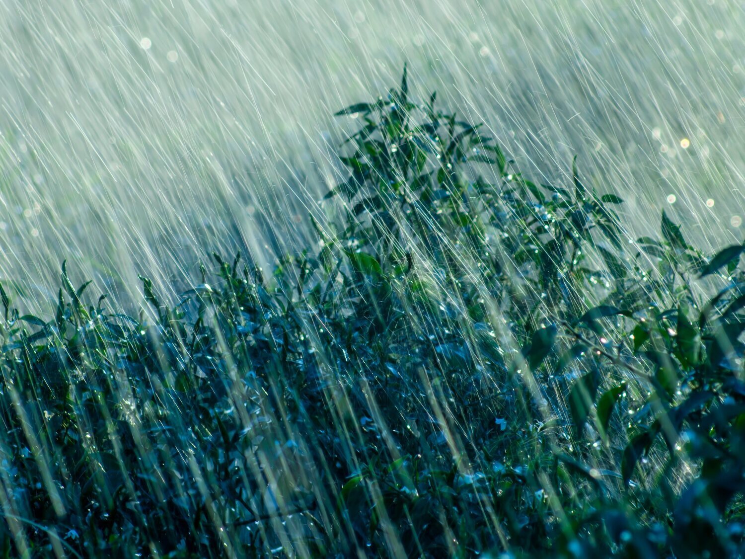 Alerta AEMET: la borrasca Samuel deja récord de frentes en el Mediterráneo