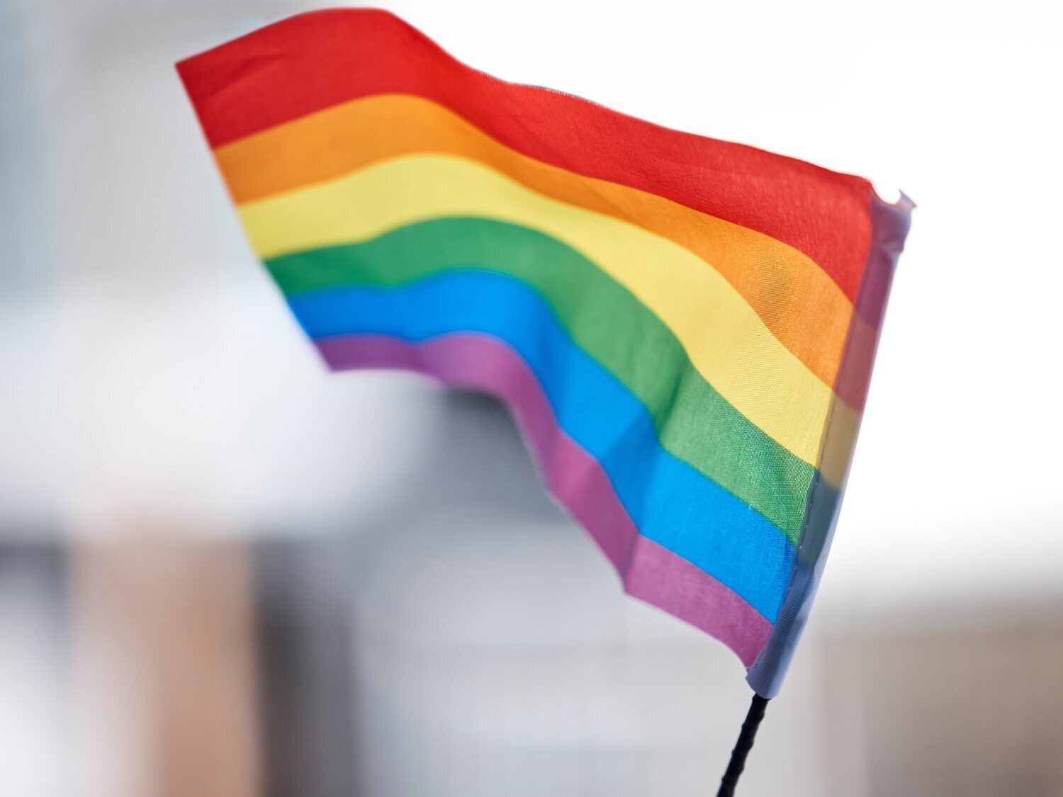 Más del 20% del colectivo LGTBI+ simpatiza con PP y VOX: 7 de cada 10 temen retrocesos