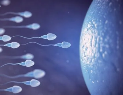 La ciencia lo confirma: eyacular cada día mejora el esperma y protege el ADN