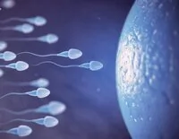 La ciencia lo confirma: eyacular cada día mejora el esperma y protege el ADN