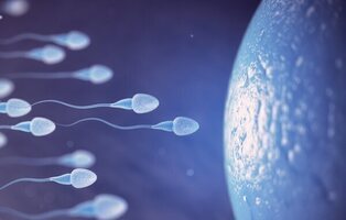 La ciencia lo confirma: eyacular cada día mejora el esperma y protege el ADN