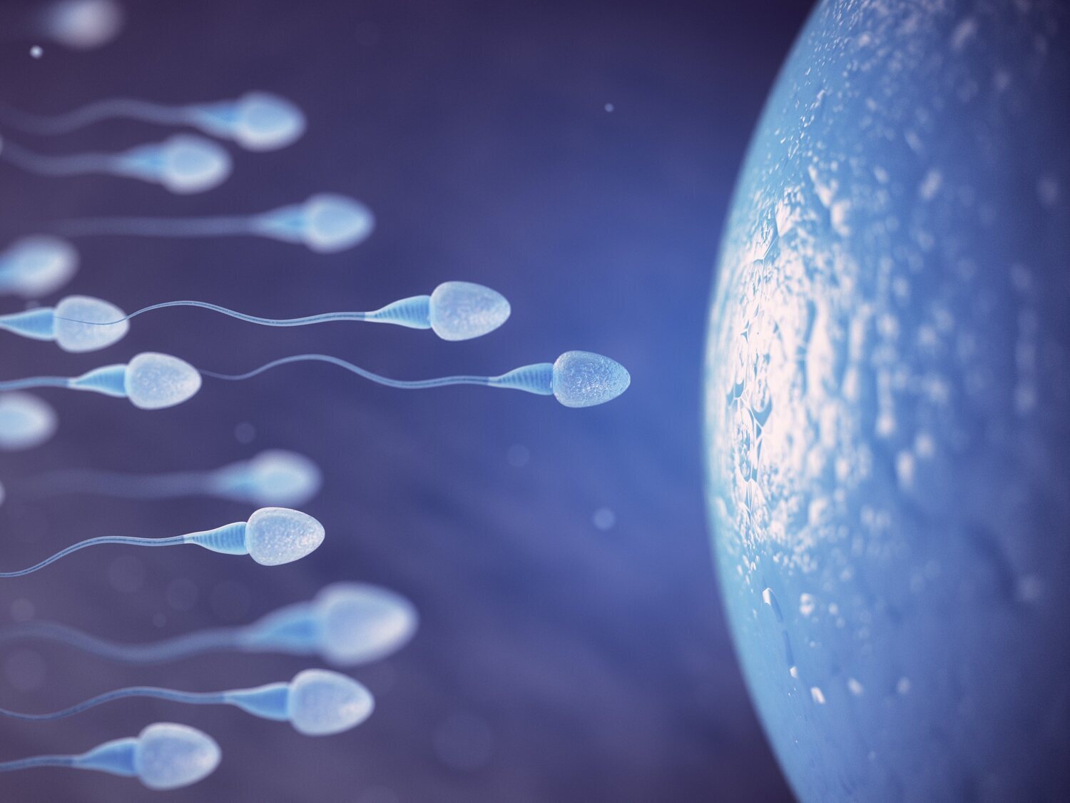 La ciencia lo confirma: eyacular cada día mejora el esperma y protege el ADN