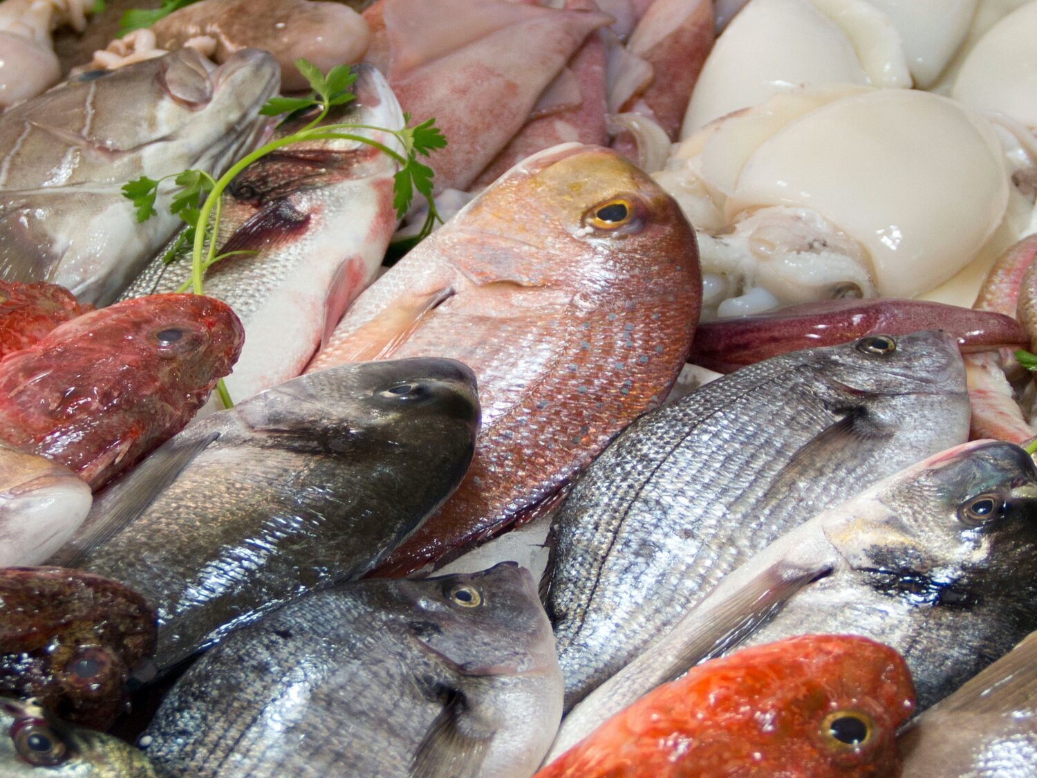 Alerta alimentaria: retiran estos pescados del supermercado por anisakis