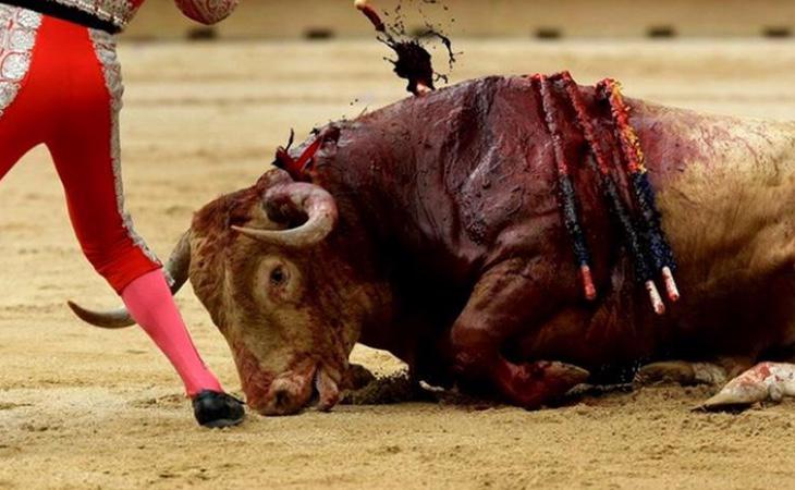 El Gobierno considera que los toros son patrimonio cultural de todos los españoles