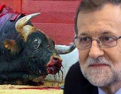 Rajoy recurre la ley que impide matar y maltratar toros en Baleares