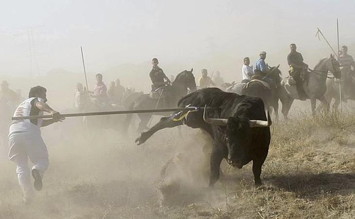 El festejo ha sido tradicionalmente señalado por su excesiva crueldad