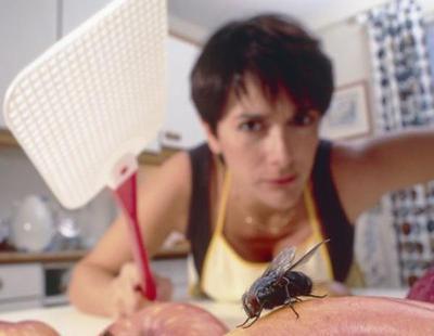 ¿Por qué es tan difícil matar a una mosca?