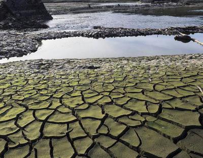 Sequía en España: Las lluvias descienden un 97% y el Gobierno plantea restricciones