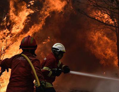 Los incendios forestales provocados alimentan la corrupción política y empresarial