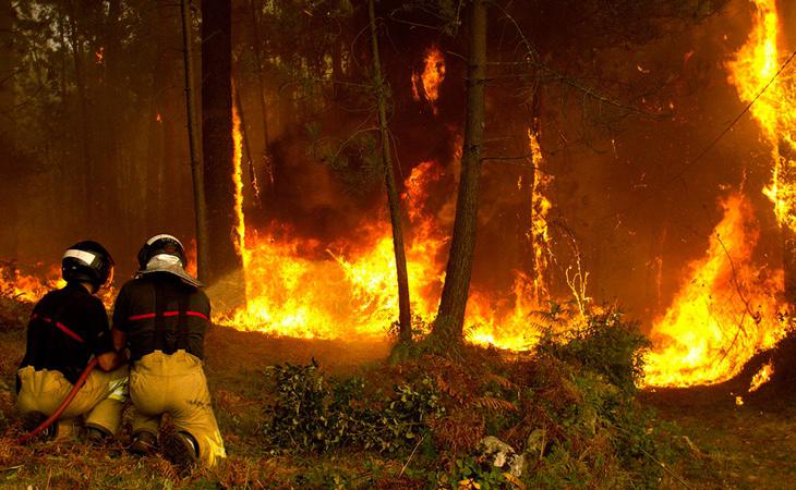 El PP ha desplegado su argumentario en los medios para afirmar que los incendios han sido provocados por terroristas medioambientales