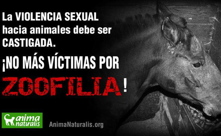 Los animales no pueden dar consentimiento, por mucho que no se resistan a las relaciones, no significa que estén aceptando