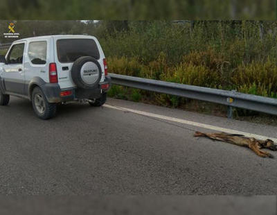 Arrastra varios kilómetros a un cachorro de pastor alemán atado a su todoterreno