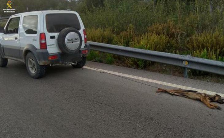 El hombre fue detenido por el Seprona tras arrastrar un perro en el remolque de su todoterreno