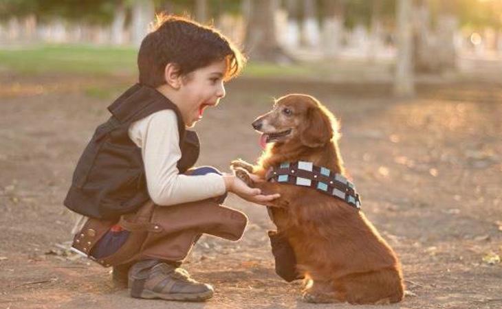 Los pequeños deben comprender que las mascotas implican responsabilidad