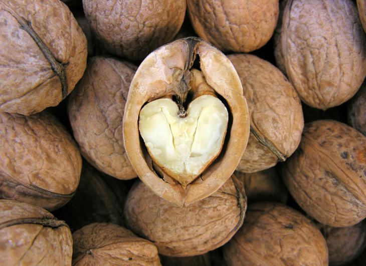 Las nueces son un alimento muy sano y muy recomendable para incorporar a la dieta diaria