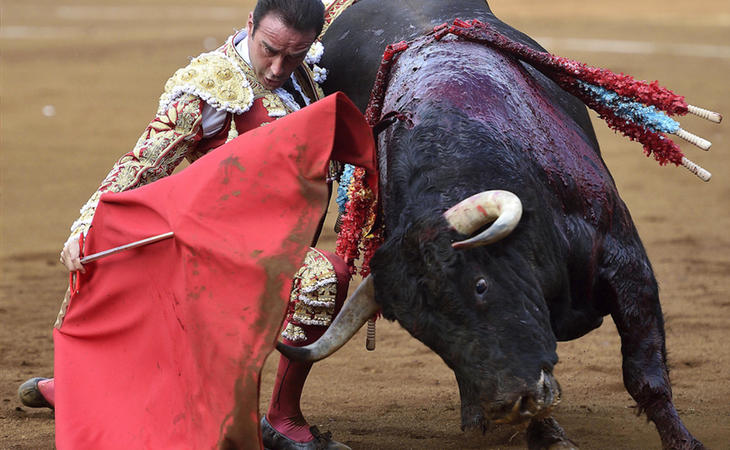 Suspendida la ley de toros balear