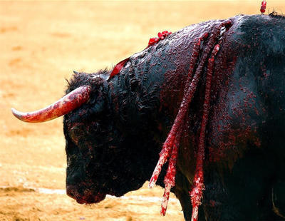 El TC suspende cautelarmente la ley de toros balear que prohíbe la muerte del animal