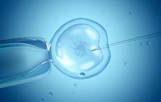 Se desarrolla una técnica de semiclonación reproductiva que acabaría con la infertilidad