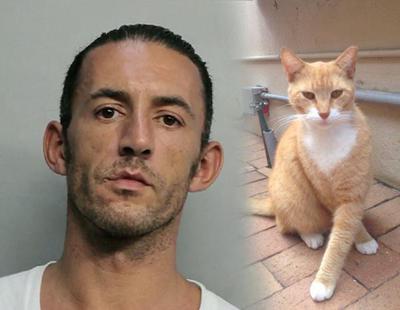 Deportan a un ciudadano griego por matar a un gato callejero con una ballesta en EEUU