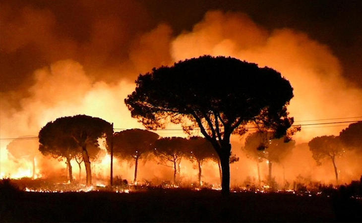 Incendios de Doñana