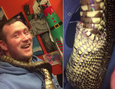 La verdad tras el vídeo de la serpiente comiéndose a sí misma que se ha hecho viral
