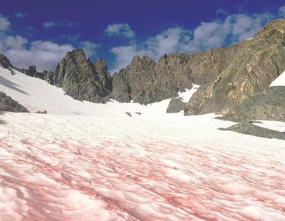 El extraño caso de la nieve con ríos de sangre que atemoriza a la comunidad científica