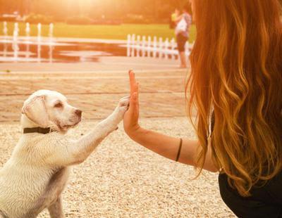 Las mujeres se comunican mejor con los perros que los hombres