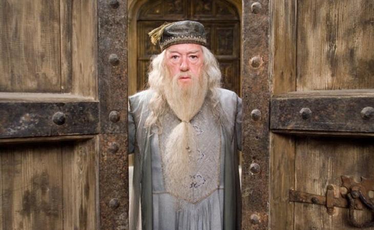 Albus Dumbledore en la saga Harry Potter