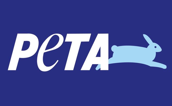 La Asociación PETA pide que las Tortugas Ninja coman pizza vegana