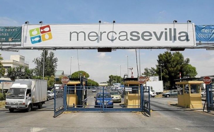 El caso ERE estalló tras las investigaciones en la gestión irregular de Mercasevilla