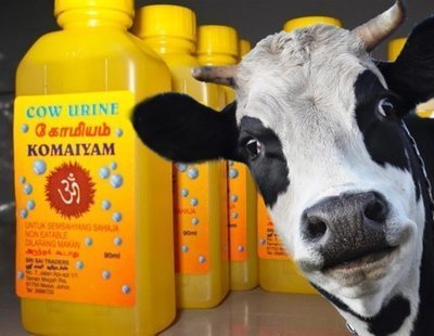Orina embotellada de vaca: el nuevo producto que revoluciona los supermercados de India