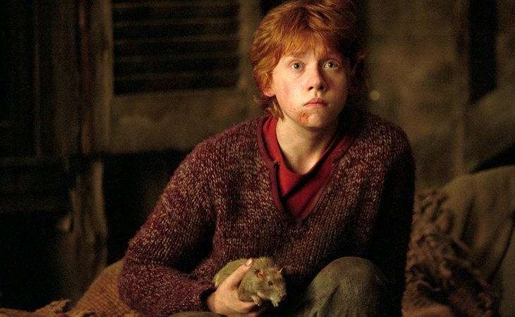 La mascota de Ron Weasley resultó ser colaborador de Voldemort