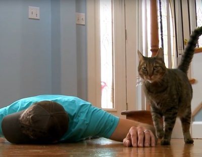 Finge su muerte para ver la reacción de su gato: su respuesta fue legendaria