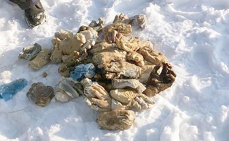 Las manos se encuentan en estado de putrefacción y no se conoce qué pudo ocurrir. /Foto: SiberiaTimes