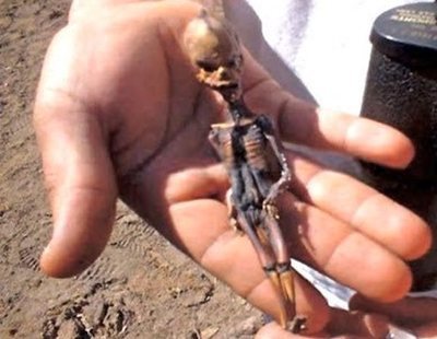 La verdad sobre el presunto cadáver de un alienígena encontrado hace 15 años en Chile