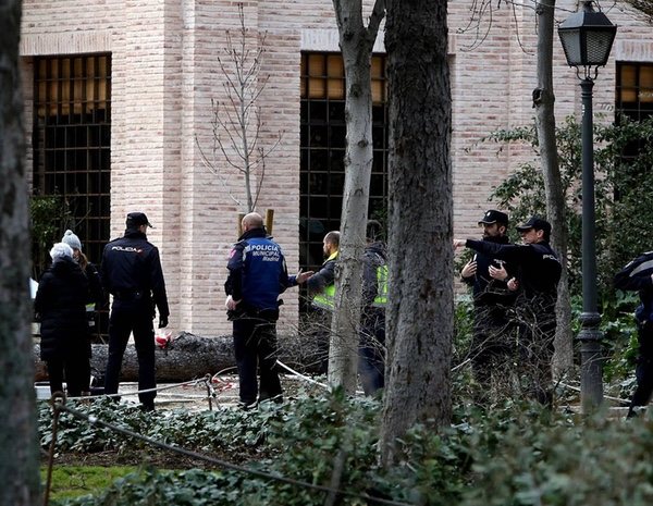 No es la primera vez que una caída de un árbol provoca una muerte en la capital