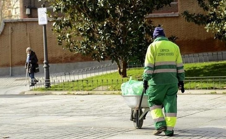 El recorte en inspección del arbolado fue el inicio de esta lacra