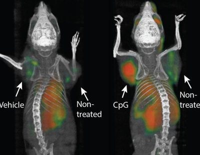 La vacuna contra el cáncer probada con éxito en ratones podría comercializarse muy pronto