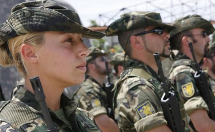 Ejército de Tierra. /Foto: Efe